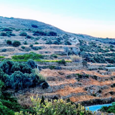 Eilandhoppen op de Griekse Cycladen | Wat te doen op kleurrijk Paros