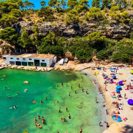 Ontdek de mooie natuur van Mallorca | De mooiste natuurplekjes