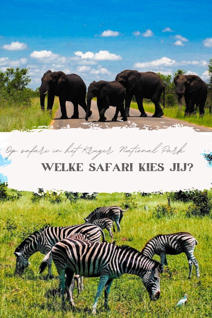 Ben jij al eens op safari geweest in het Kruger Park? 
Als je van plan bent om heel veel verschillende dieren te spotten, dan moet je heel veel op safari gaan!
Want zo'n safari verveelt nooit! 