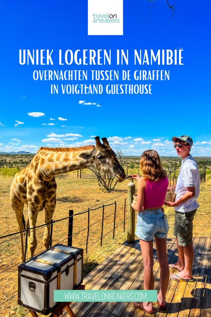 Ben je van plan om een rondreis te maken en ben je nog op zoek naar een uniek logeerplekje in Namibië? Ga dan een nachtje logeren tussen de giraffen in Voigtland Guesthouse.
