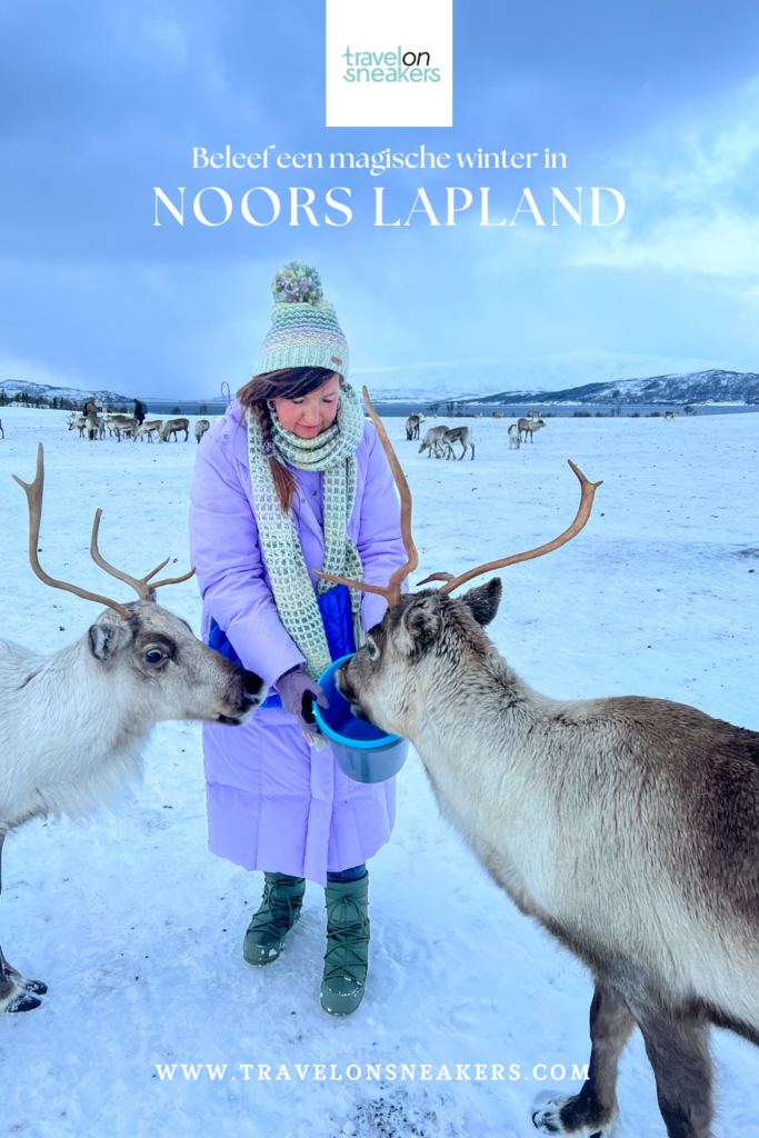 Beleef een magische winter in Noors Lapland. Vlieg naar Tromsø en ga walvissen spotten, sleeën met husky's, ontmoet de Sami en voeder de rendieren. Alle tips voor Lapland vind je hier. 